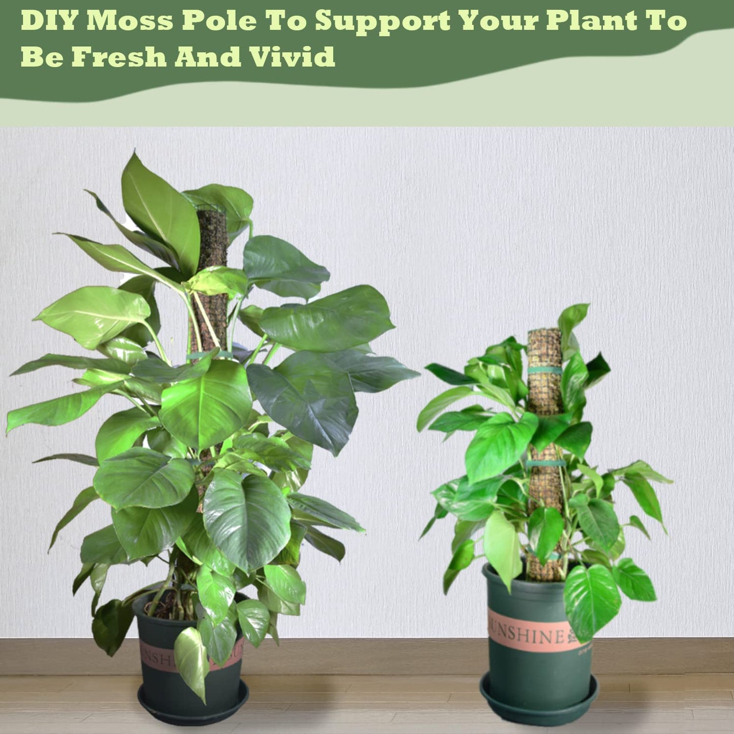 chicarry Moss Pole DIY Kit, 13.2ft Metal Moss Pole for Plants Monstera, 4Pcs 8.3in×3.3ft Steel Moss Pole Mesh with Plier, Cable Ties, Sphagnum Moss Pole (13.2ft Wire Mesh with Plier)