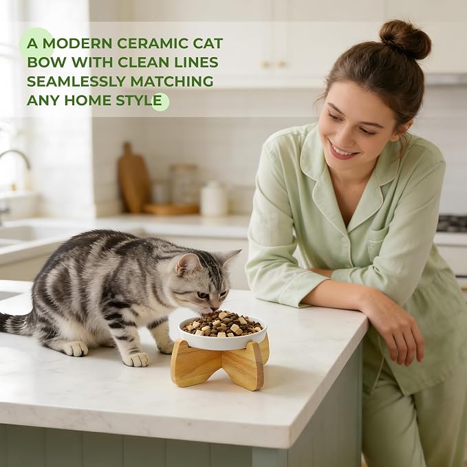 Raised Ceramic Cat Bowl 6.3" Wide Shallow Flat Bottom (2 Pack) | Neck Protective, Anti Whisker Fatigue, Anti Vomit, Dishwasher Safe, For Dry and Wet Food, For Kittens & Seniors