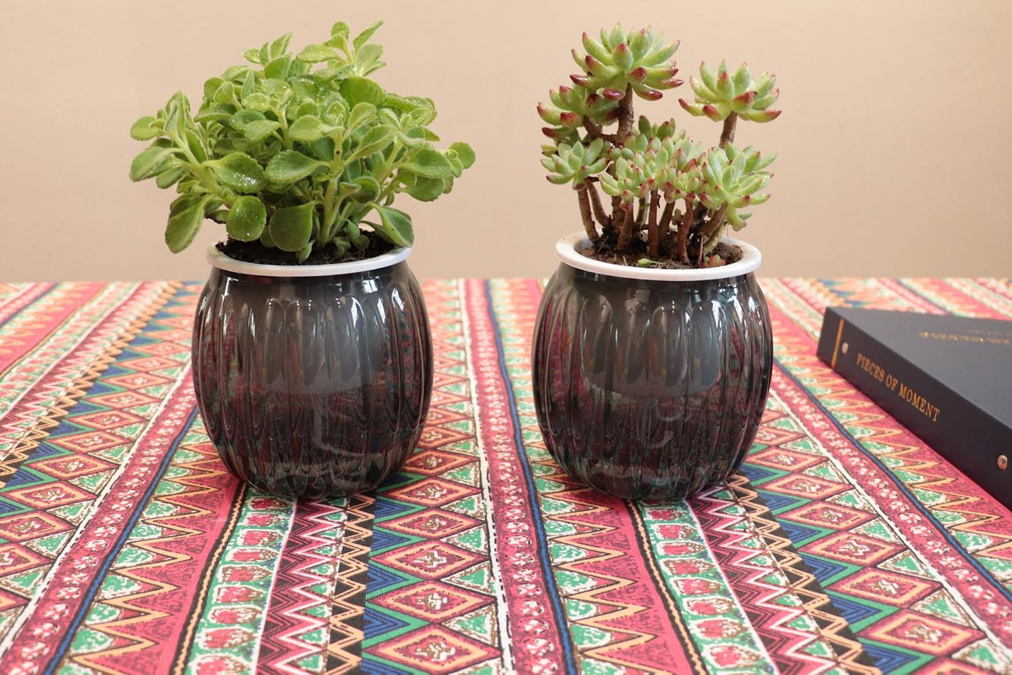 Cornasee 4" Pumpkin Planter Self Watering Pot, 4-Pack Small Plastic Planters for Indoor Plants,Flowers,Succulent,African Violets (Black, 4")