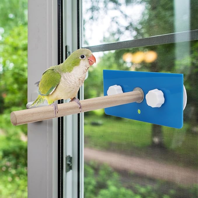 Hypeety Bird Parrot Stand Perch Shower Perch Standing Toy Portable Suction Cup Parrot Bath Stands Suppllies Holder Platform Parakeet Window Wall Hanging Play (2 Suction Cups Wood)