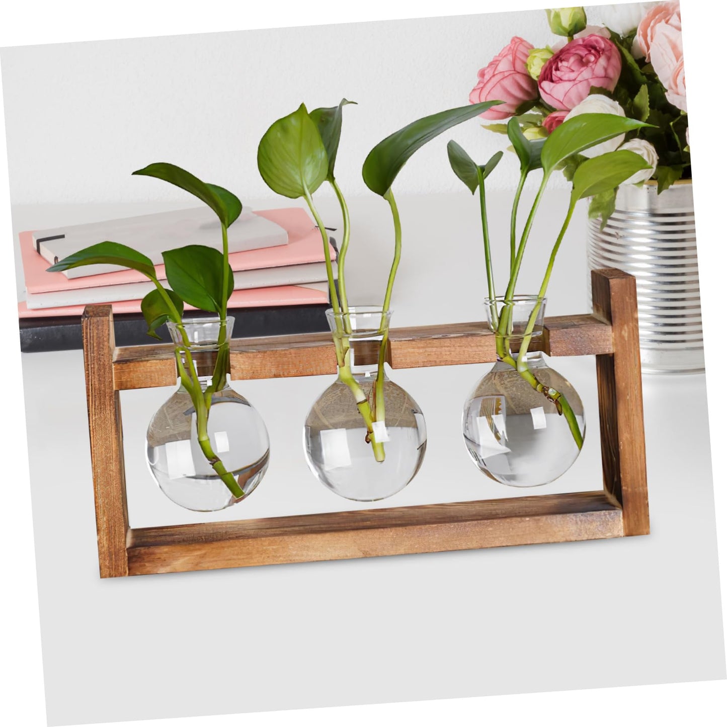 Abaodam Terrarium Plants Glass Planter Air Plant Terrarium Glass Vases for Centerpieces Bulb Vase