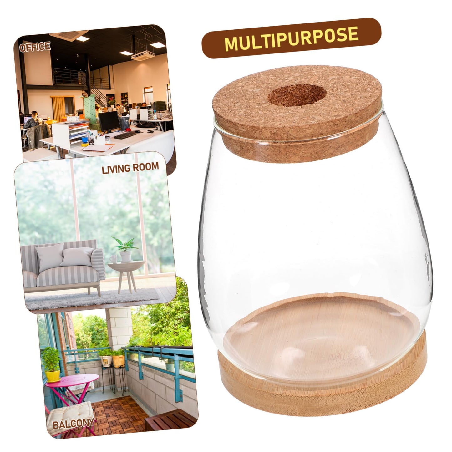 BESPORTBLE 1 Set Plant Terrarium Hydroponic Glass Vase Holder with Base Container for Plants Transparent Flower Arrangement Decor for Home Office and Garden