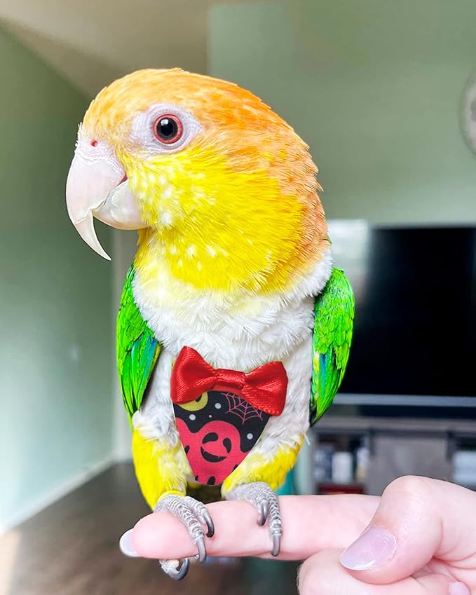 UKJENT Bird Diaper Protective Parrot Nappy - 4 Pack, Reusable Flight Suit with Waterproof Inner Layer, Washable Cute Urine Wet Suit for Parakeet Cockatiel Mini Macaw Budgie Canary(M)