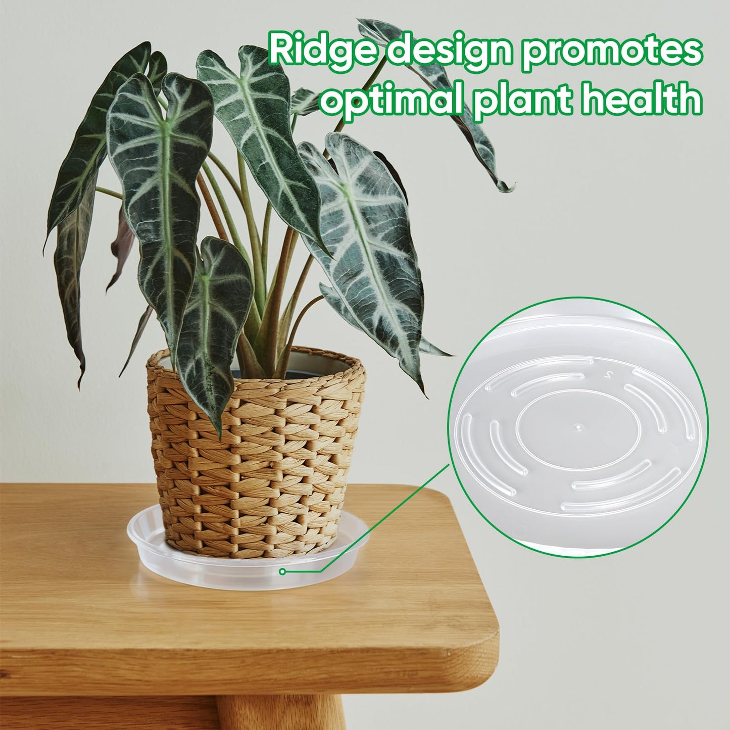 Dovesail 20 Pack Plant Saucer Tray, 6/8 /10/12 inch Heavy Duty Flower Pot Trays, Plastic Plant Saucer for Indoor & Outdoor Plants, Plant Trays to Catch Water, 5 Pieces of Each Size