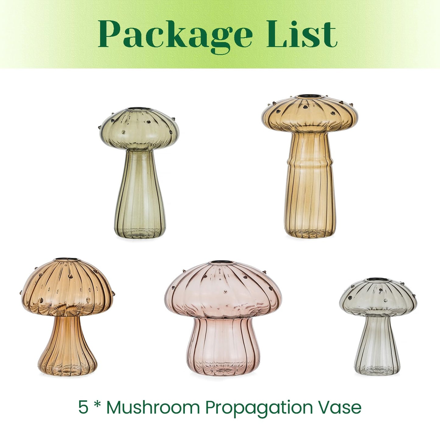 Hewory Glass Mushroom Propagation Stations: Set of 5 Unique Propagation Jars Glass Planter for Indoor Plants Home Decor - Amber Mushroom Vase Christmas Birthday Gifts for Plant Lovers Women Girls