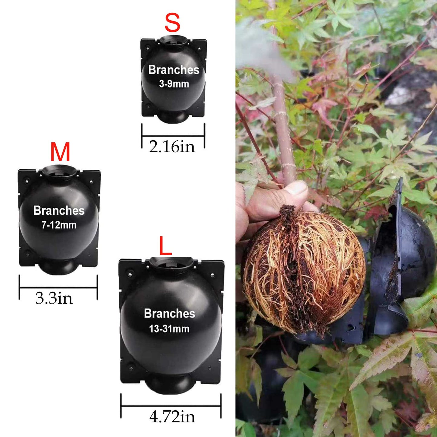 Lazzineer Tree Root Growing Box, Reusable Transparent Plants Asexual Reproduction Grafting Ball, High Pressure Air Layering Pods Propagation Kit (20pcs Small)
