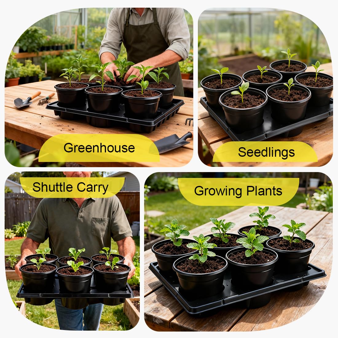 RooTrimmer 6 Inch Plastic Plant Pots 30 Pack and 6 Cell Nursery Pots Trays 5 Pack, Sturdy Seeds Starting Germination Shuttle Carrying Trays, Black Nursery Planting Propagation 5 Sets