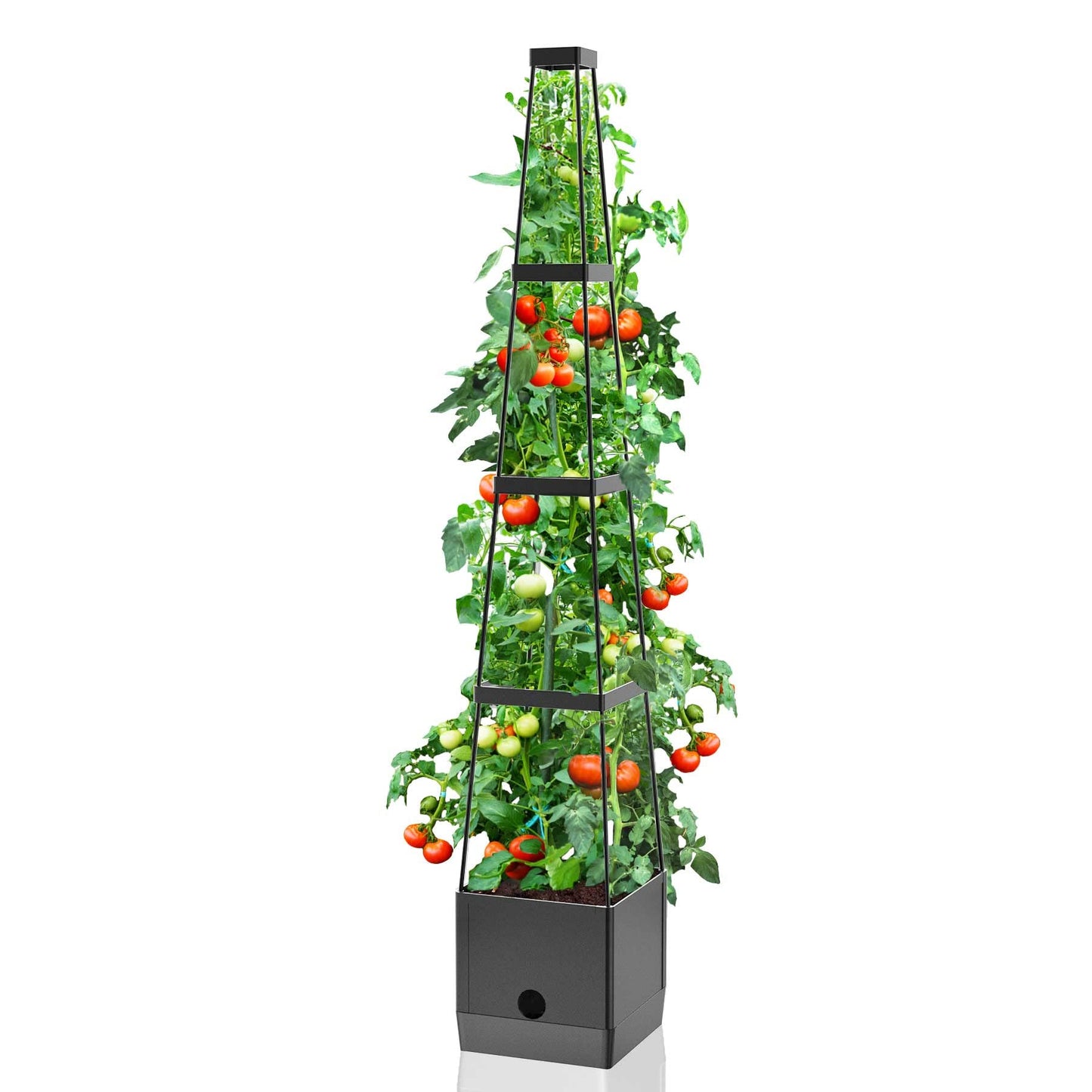 Raised Garden Bed Planter Boxes & Trellis, vanpein Tomato Cage & Planter Pot Outdoor 59" Plant Support with Self Watering for Climbing Vegetable Flowers Vines Plants, Gray