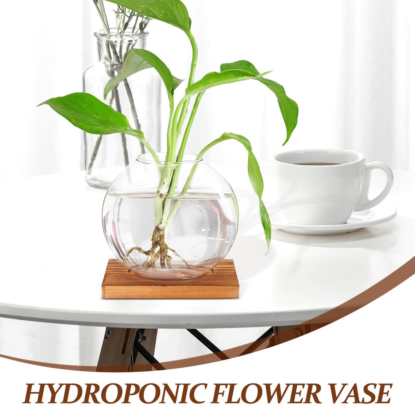 DOITOOL Wood Base Glass Hydroponic Vase for Plant Propagation, Desktop Planter Bottle with Retro-Style Base, Home and Office Flower Terrarium Decoration