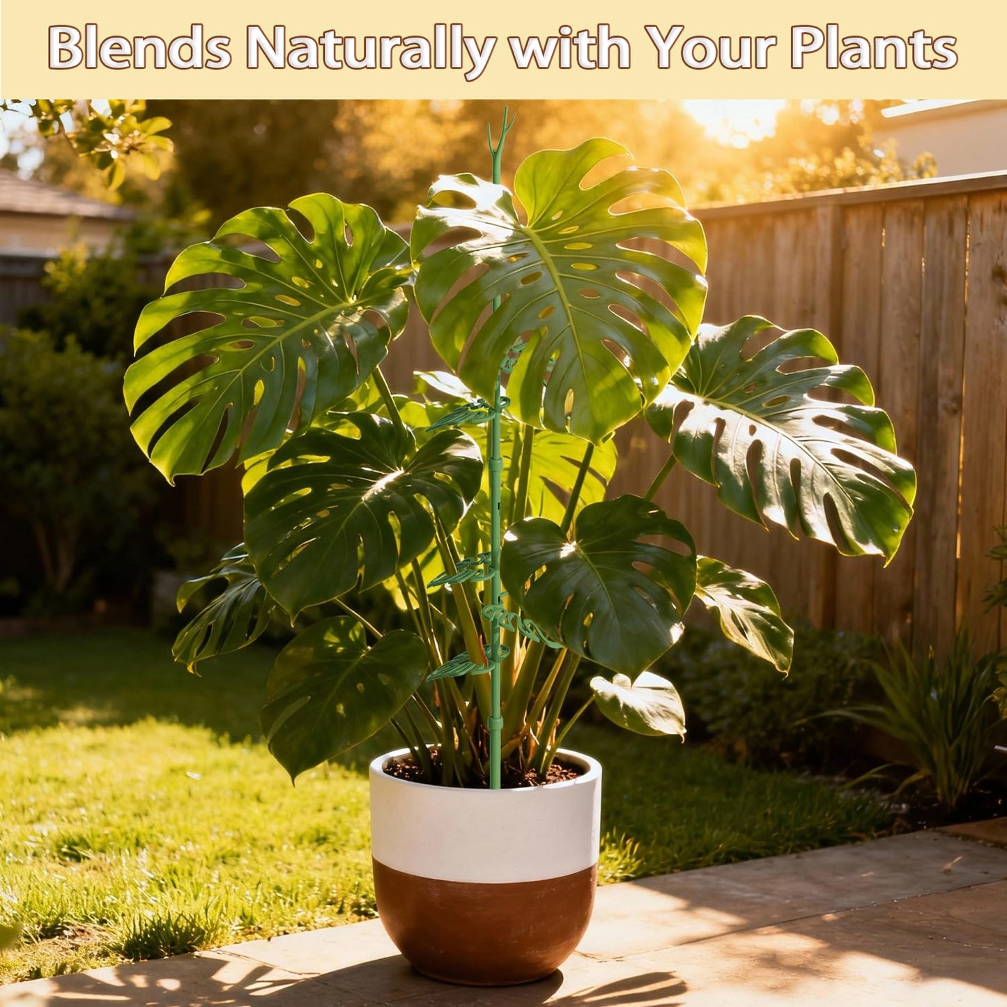 Telescoping Plant Stakes, Detachable Leaf Clips, Monstera Plant Support Stick Adjustable from 21In to 43.3In, Plant Support Stakes Ideal for Indoor, Garden and Climbing Plant, Vegetables - 2 Pack