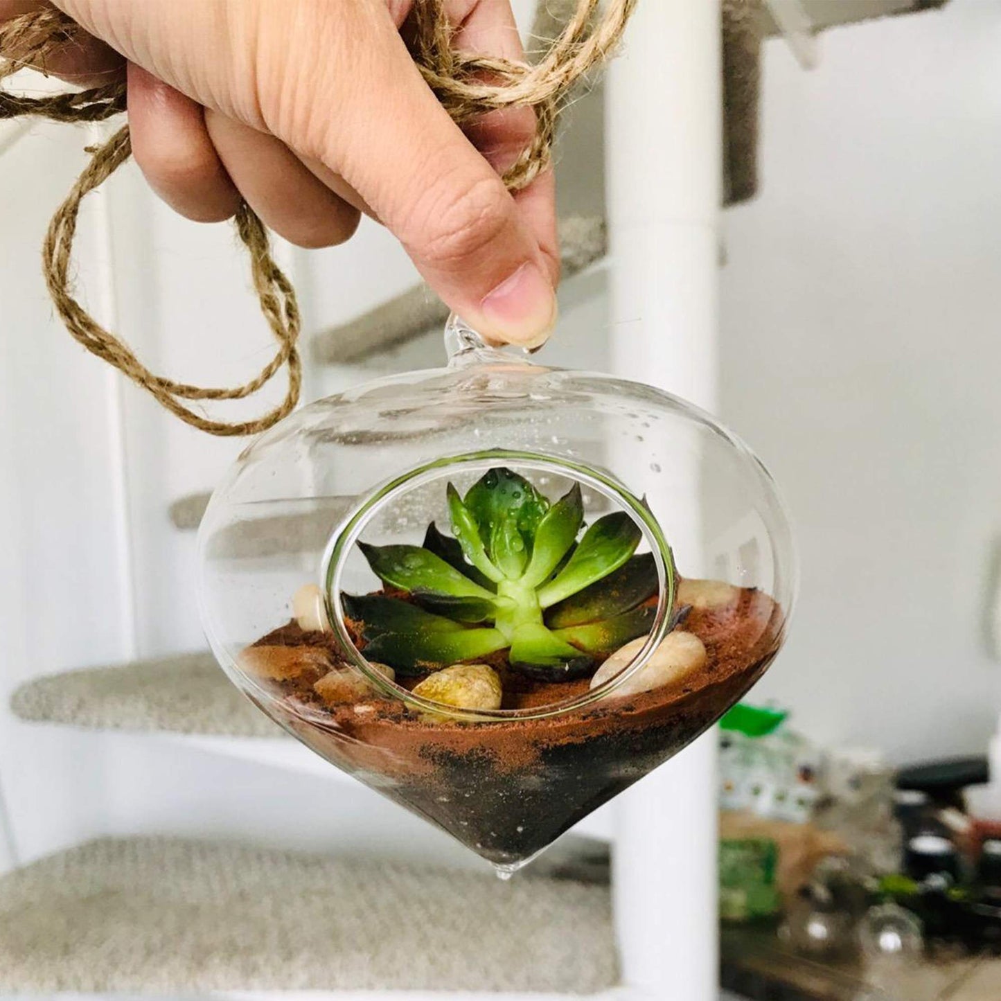 WGV Glass Hanging Plant Terrarium Bulk, Width 5", Height 5.5", Turnip DIY Succulent Air Planter Clear Tea Light Votive Candle Holder for Event Home Garden Outdoor Decor, 6 Pieces