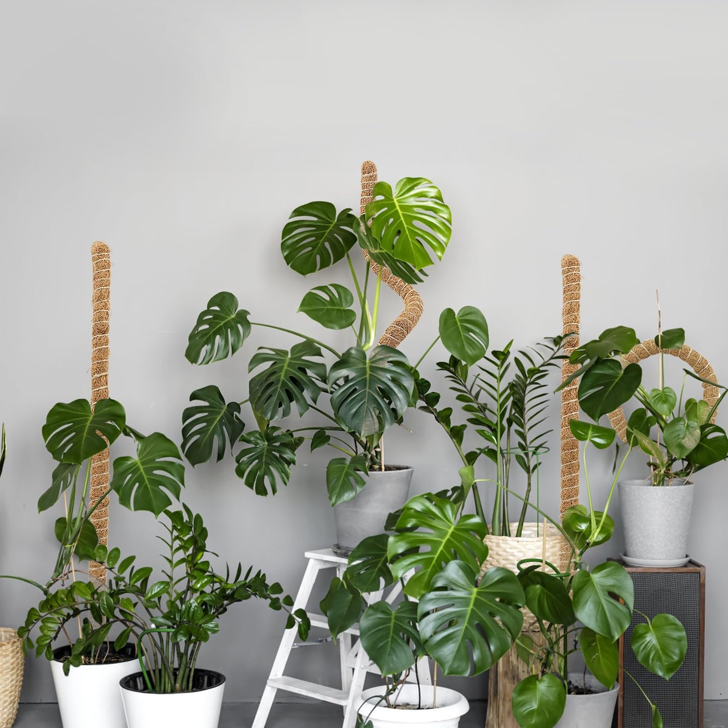 Deergo 4Pack 30 Inch Moss Pole, Bendable Moss Pole for Plants Monstera Coco Coir Plant Support Pole for Small Climbing Plants Grow Up, Brown
