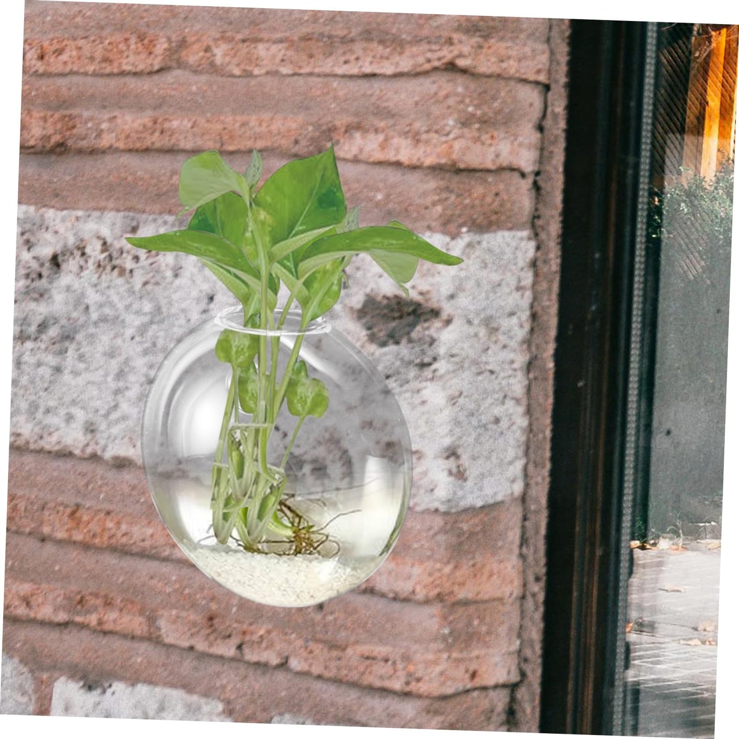 Ciieeo Glass Terrarium Wall-Mounted Hydroponic Vase Space-Saving Plant Holder Elegant Wall Decor Easy Care Plants