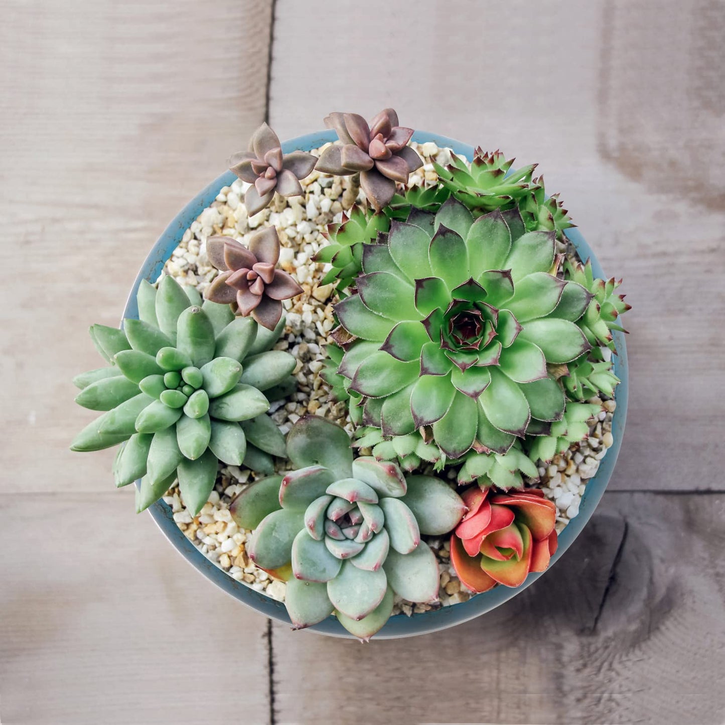 CADUFUELLY 7.3inch * 2.3inch, kiln Transformation Process, Round Ceramic Flower Pot with Drain Hole, Potted Landscape Flower Pot, Garden Decoration Cactus Bracket Flower Container (Blue)