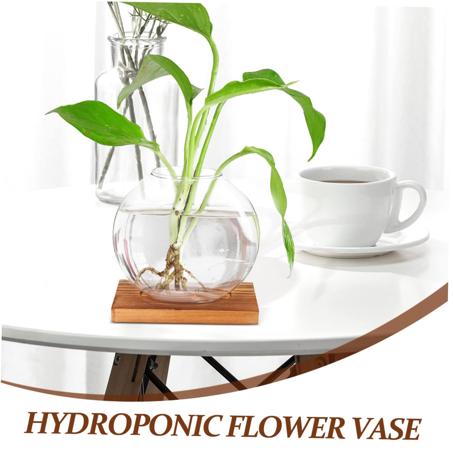 ABOOFAN Hydroponic Plant Vase with Base Glass Propagation Bottle for Desktop Decoration Transparent Terrarium Planter for Home Office Wedding Modern Tabletop Adornment