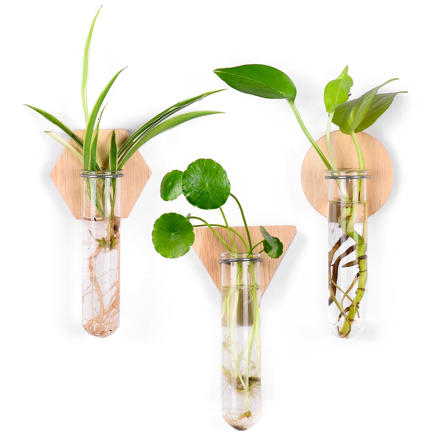 MITIME Wall Hanging Glass Planter Plant Propagation Station, Geometric Wooden Stand for Home Office Decoration