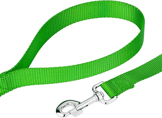 Country Brook Petz - Everyday Nylon Dog Collar and Leash - 10+ Cool Colors (3/8 Inch, 2XS, Hot Lime Green)