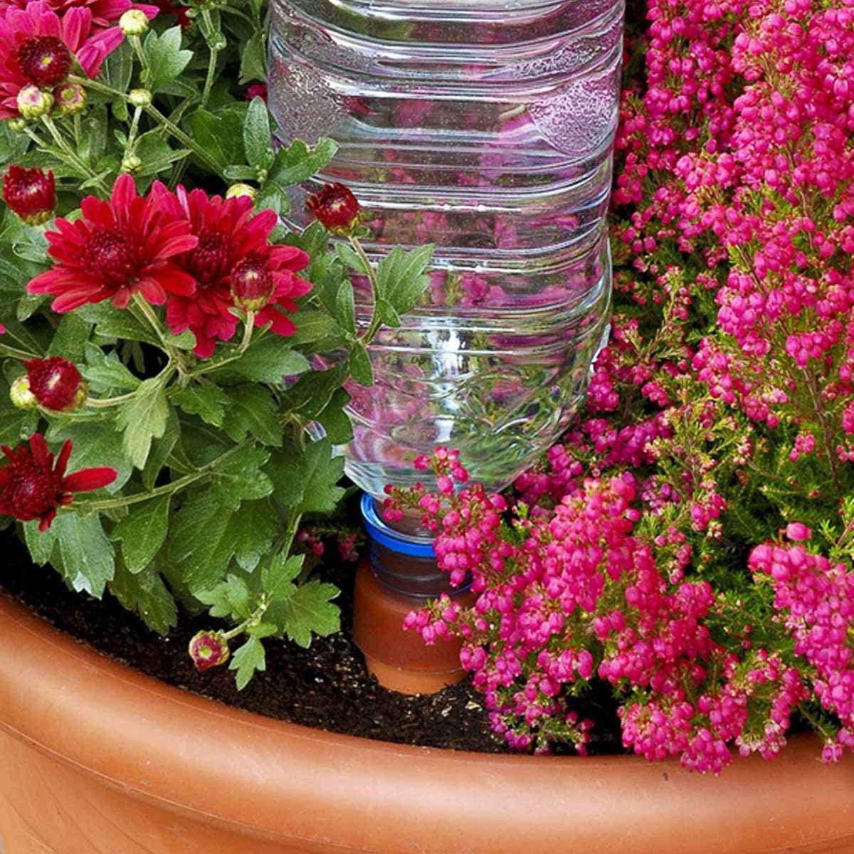 Blumat Plant Watering Device - Easy XL Self Watering Planter Insert for Indoor Plants - Bottle Adapter - Prevents Overwatering and Underwatering for Healthy Growth - 6 Pack
