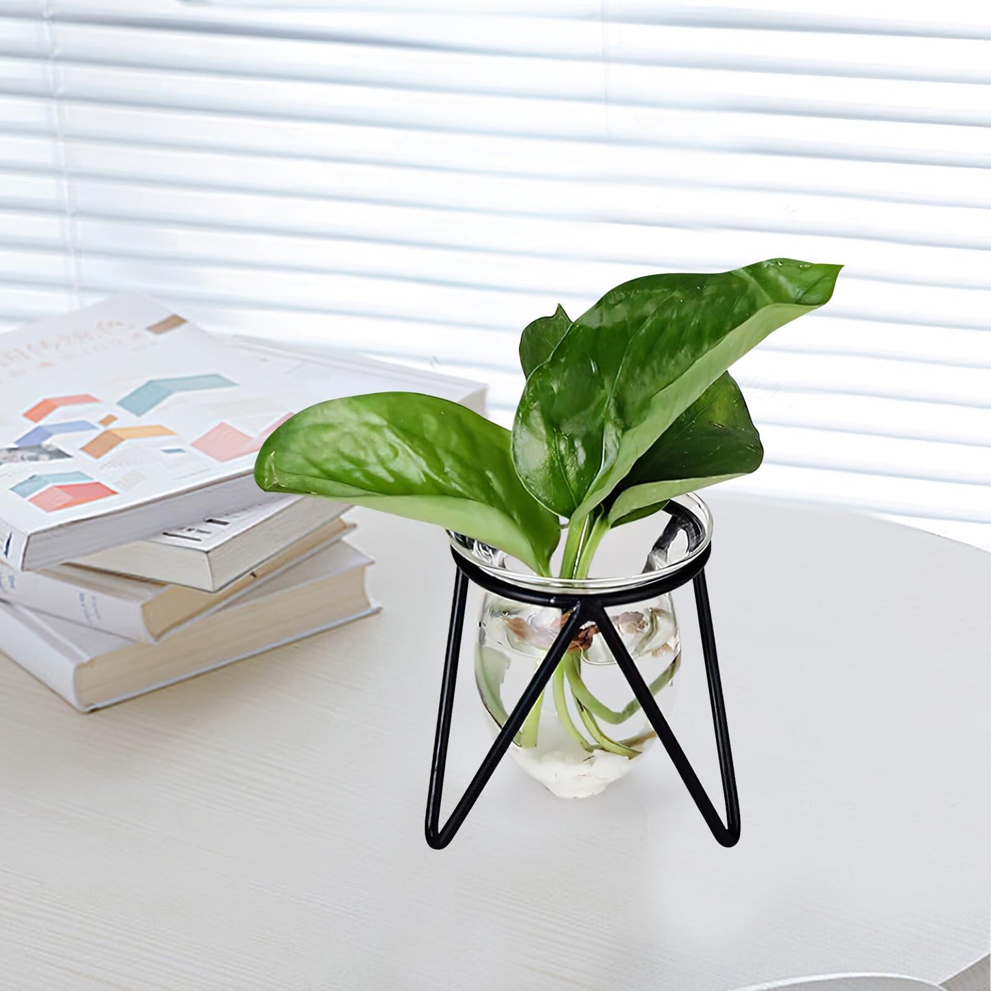 Garneck 6pcs Black Metal Stand Hydroponic Glass Flower Vases Set, Modern Small Desktop Plant Terrarium for Home Décor and Indoor Water Plants
