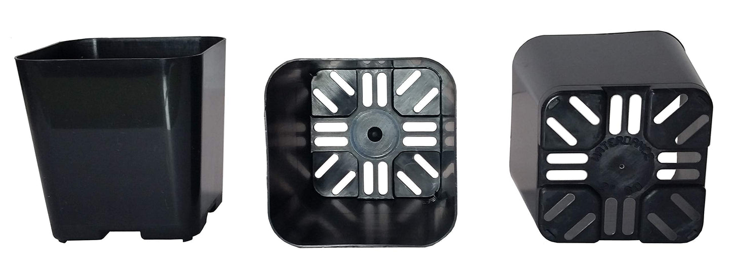 100-Pack, Water Dance Square Plastic Pots for Plants, 2-Inch. Color: Black