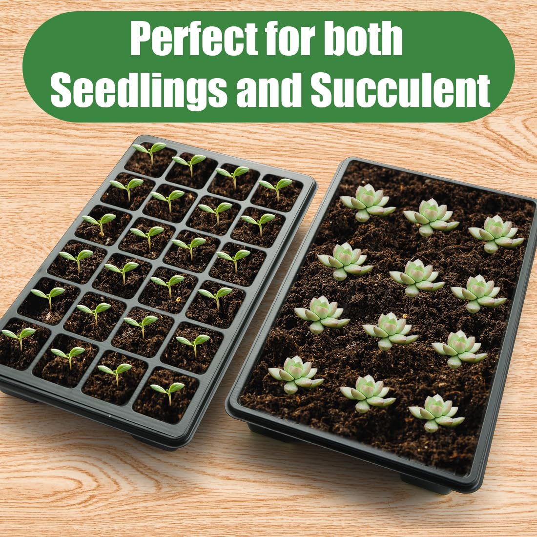 24XL Cell Seed Starter Tray with Dome, 5-Pack 2" Plug Seedling Trays (Total 120 Cells), Plant Germination Tray with Humidity Vented Lid and Base, Mini Propagator Plant Greenhouse for Seed Growing