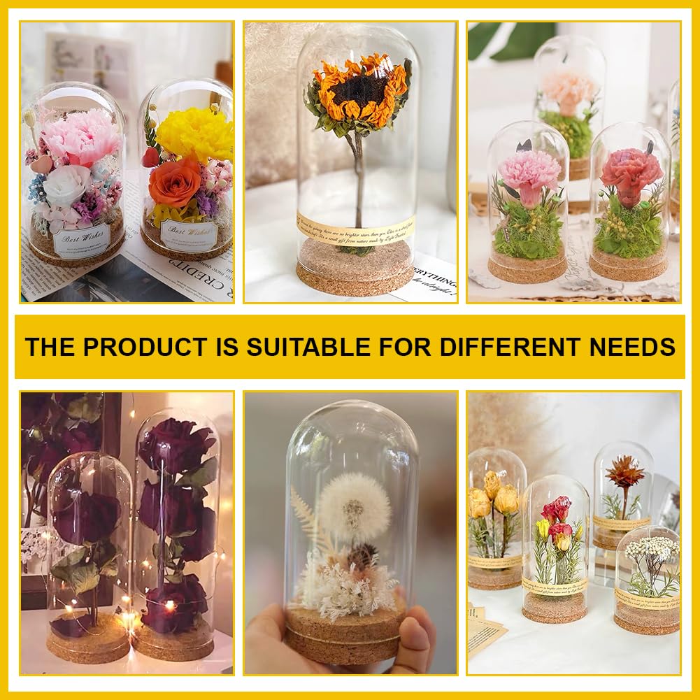 BENECREAT 2Pcs Glass Display Dome Cloche, 4.2x3.2 Inch Bell Jar With Cork Base, Display Case for Flower Specimens Home Decor DIY, Inner Diameter: 3 Inch