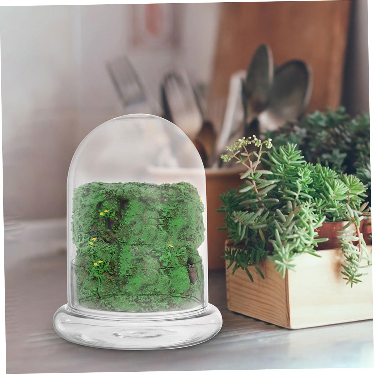 HEMOTON Eco Bottle Moss Glass Terrarium Air Plant Holder Hydroponic Vase Micro-Landscape DIY Decor