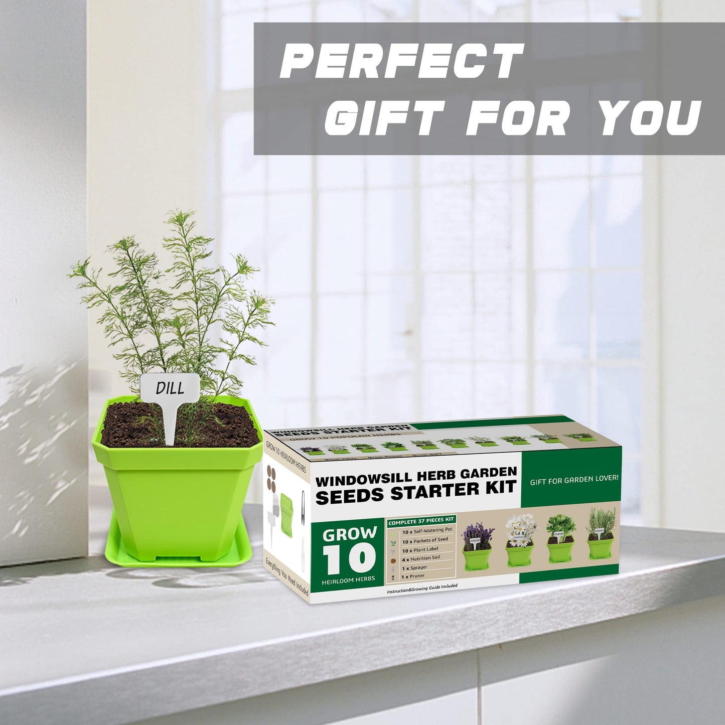 Meekear 10 Herb Seeds Garden Starter Grow Kit with Green Pots, Markers, Soil Discs, Watering, Herb Clipper, Complete Indoor Potted Plant Growing Set for Kitchen DIY