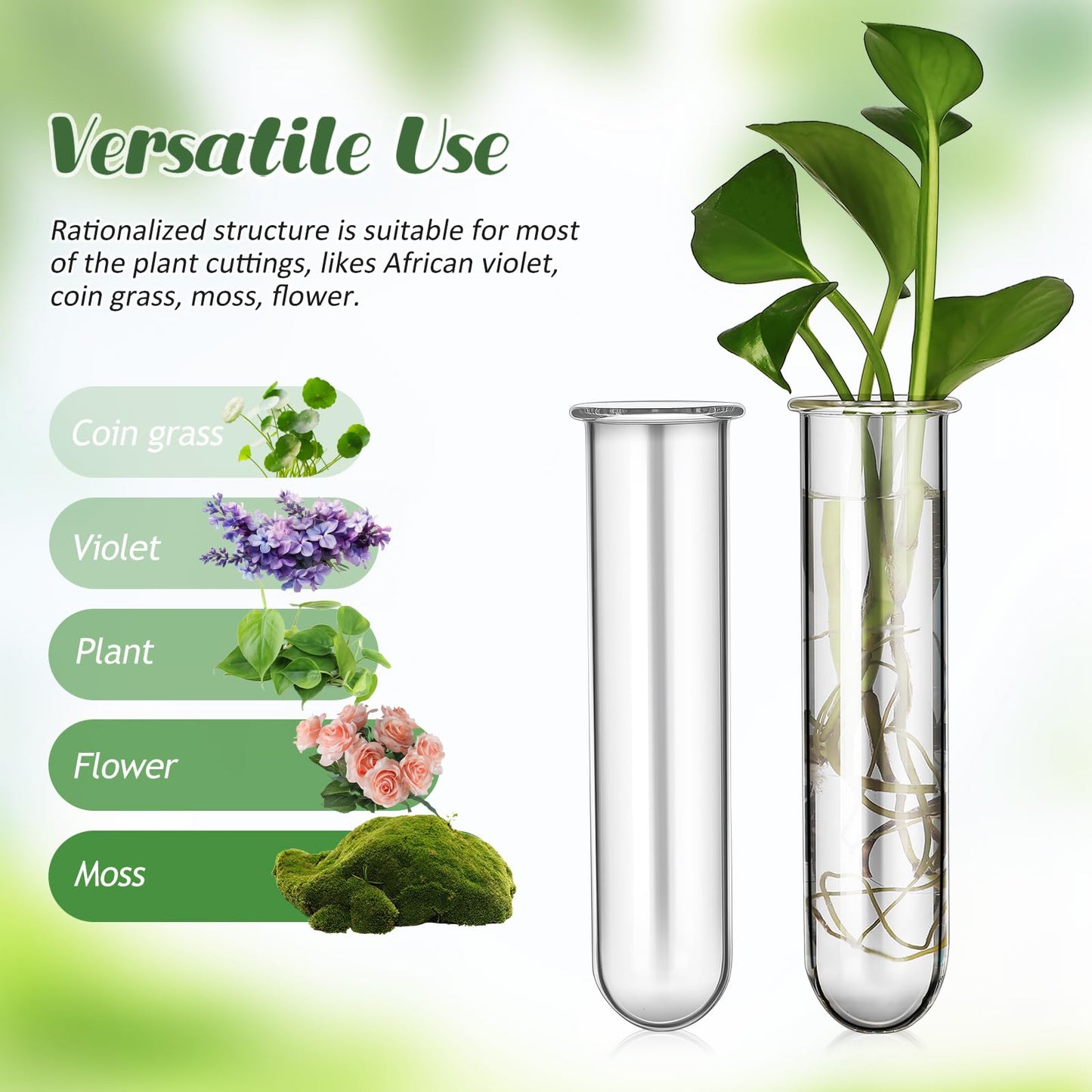 Veemoon Glass Test Tube Vase Propagation Station 5pcs 2.5x3x11cm Hydroponic Plant Terrarium Tubes for Home Decor and Office Display