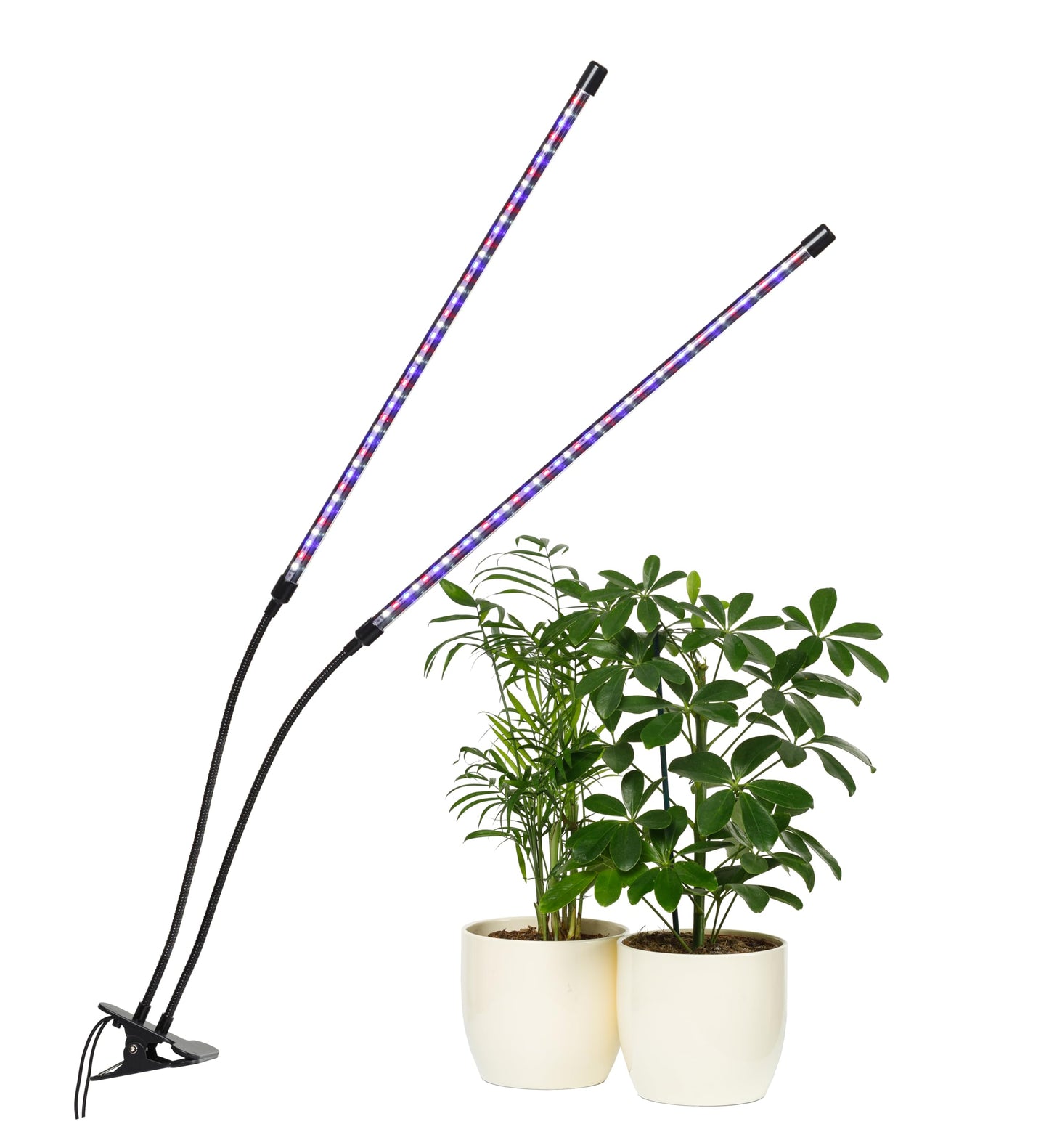 Carpathen Indoor Greenhouse with 8 LED Lights Strip + 1 Gooseneck Plant Lamp Clip-on - Mini Greenhouse with Zip PVC Cove