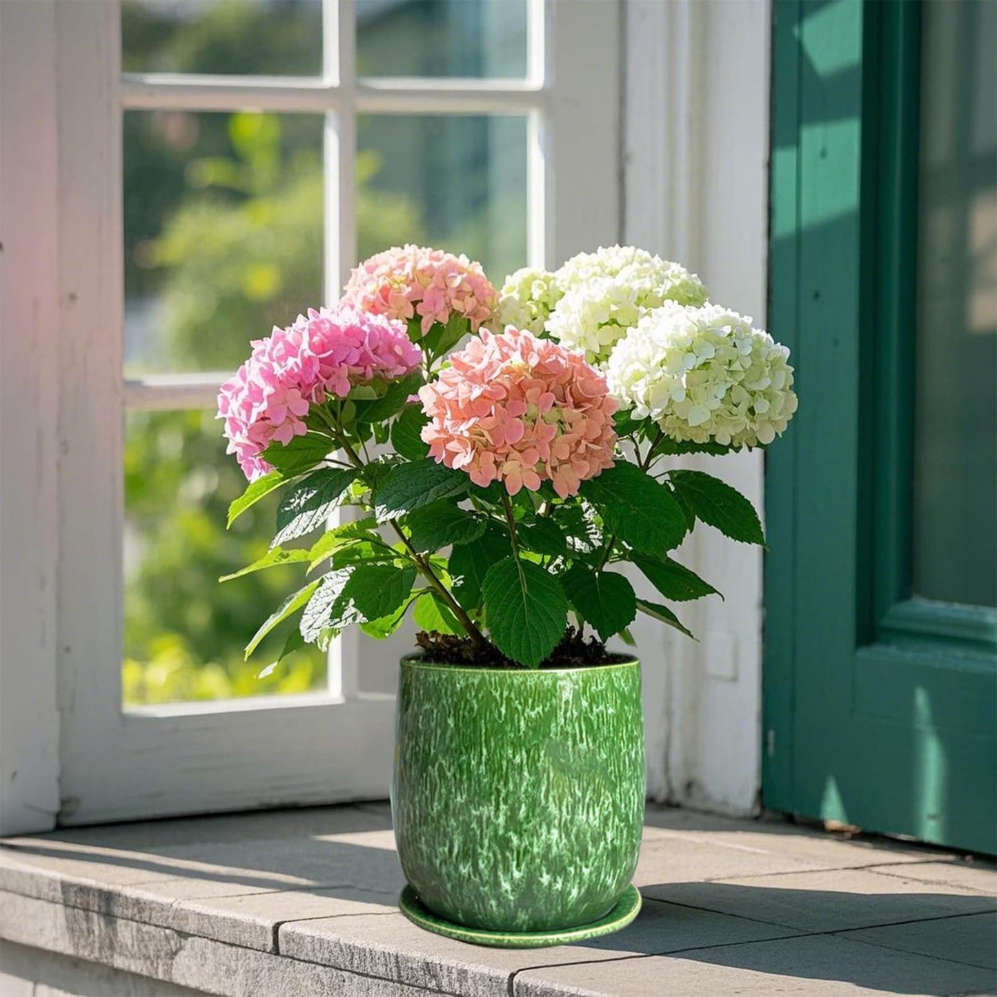 Chralji GIFTWARE 6 in Ceramic Plant Pot with Saucer,Indoor Plant Pot for Plants, Flower Pot with Drainage,Reactive Glaze Green