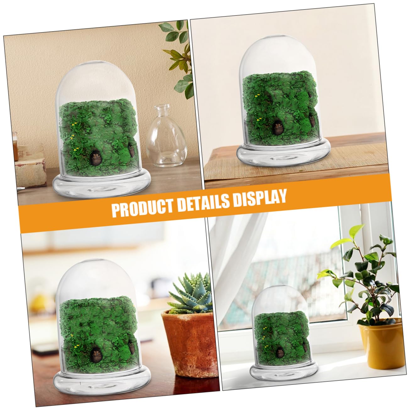 Totority 2pcs Glass Ecological Terrarium Bottle for DIY Micro Landscape Display Decorative Container for Desk Plants and Miniature Gardens