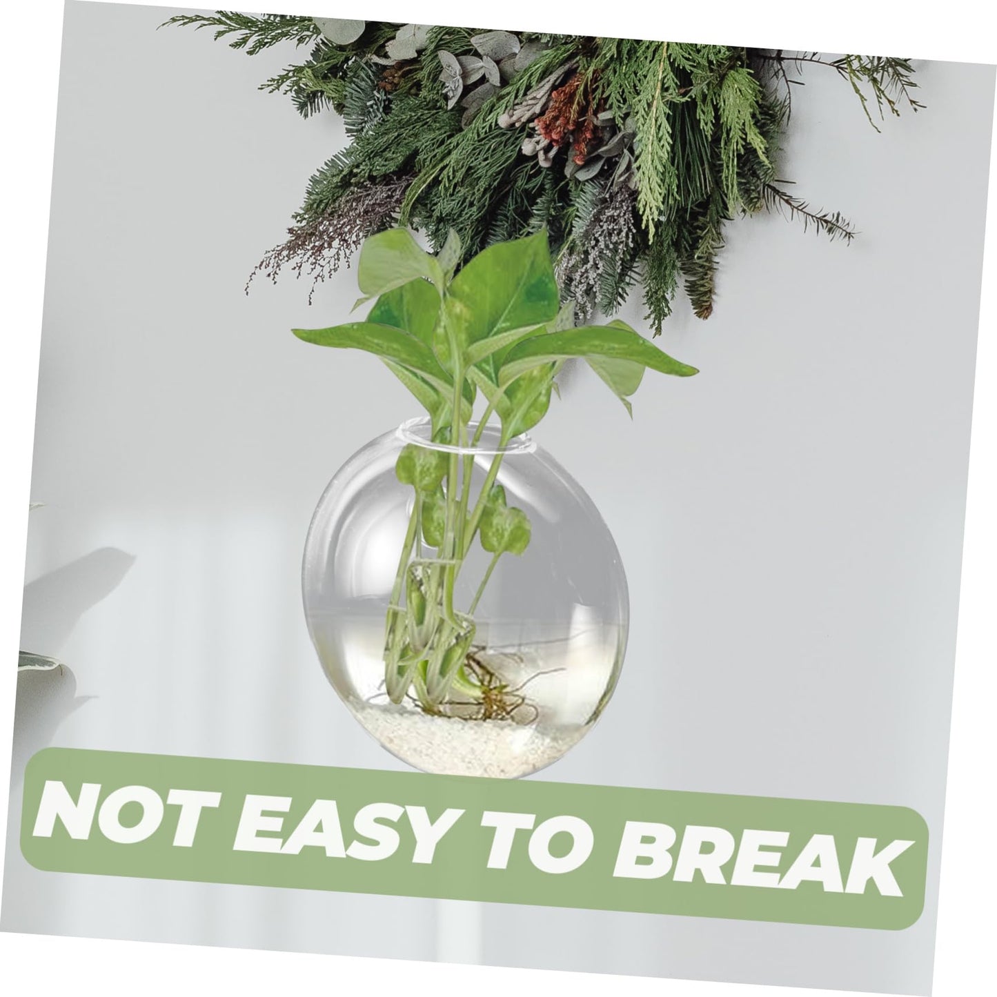 Hemobllo Wall Mounted Glass Hydroponic Vase for Plants Glass Terrarium Container Easy to Use Wall Hanging Planter for Home Office Garden Decoration