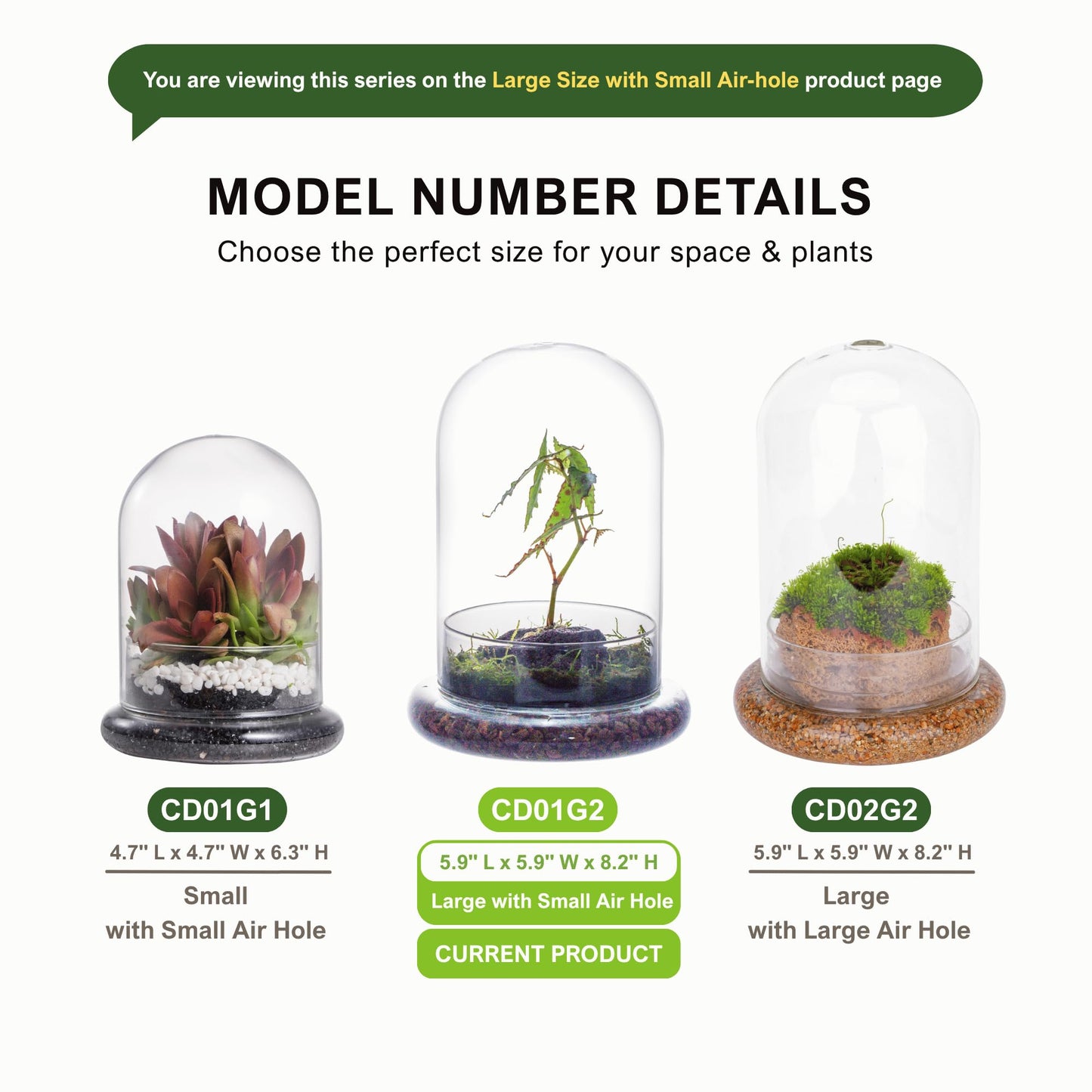NCYP Glass Cloche Dome with Air Hole and Base, 5.9 x 5.9 x 8.2 Inches, Clear Terrarium Planter for Venus Flytrap, Small Plants, Home Indoor Tabletop Decoration (No Plants)