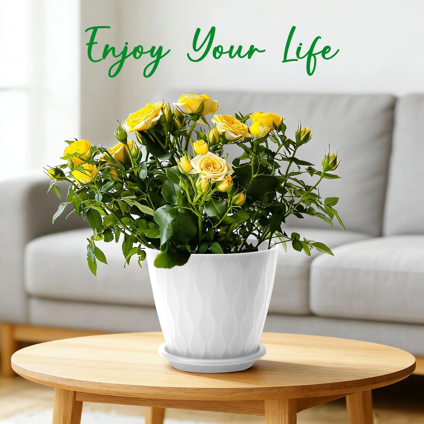 YNNICO 6 inch Plant Pots, 6 Pack Flower Pots Outdoor Indoor, Planters with Drainage Hole and Tray Saucer-White