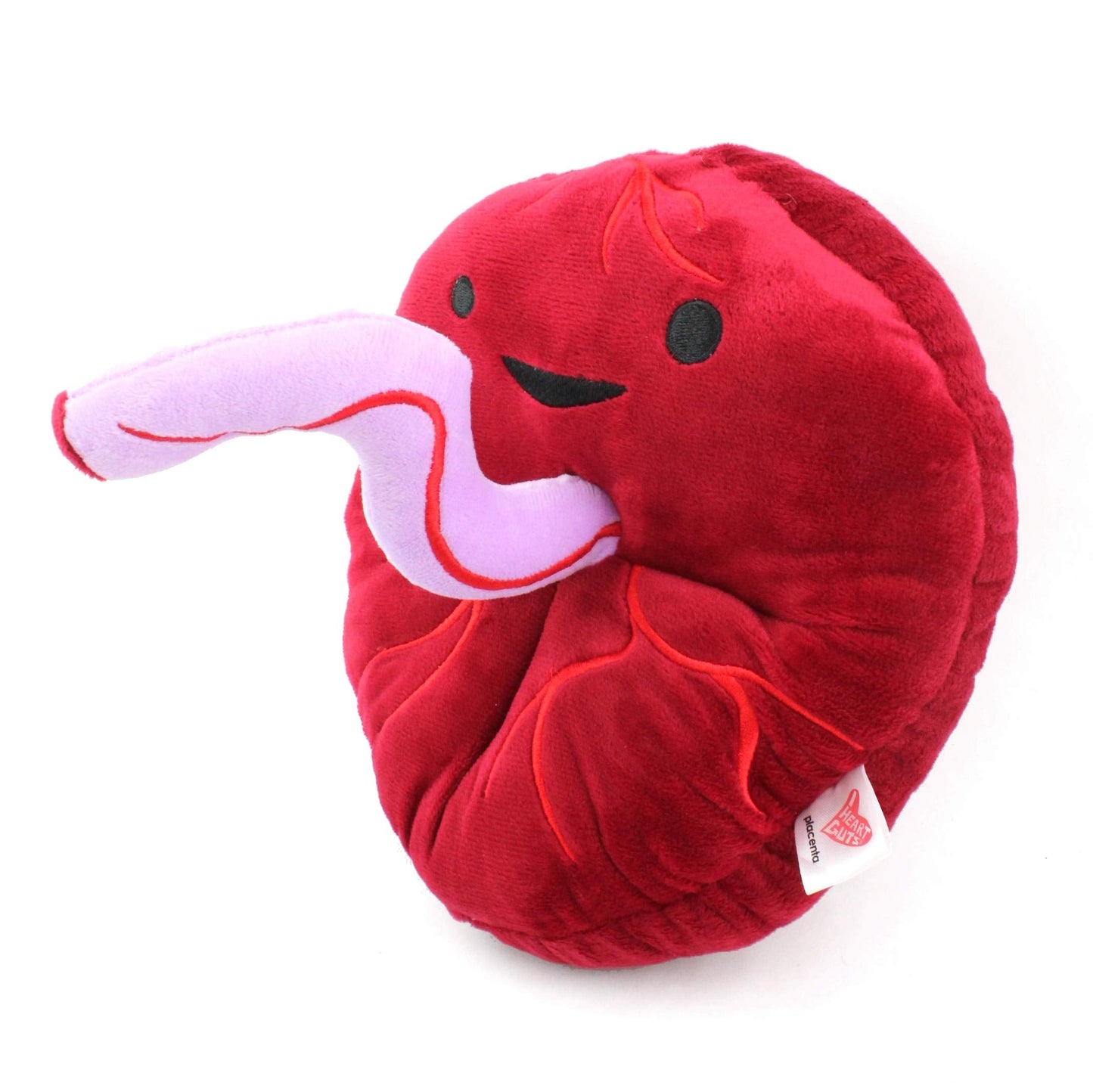 I Heart Guts - The Whole She-Bang Anatomy Bundle - Uterus Ovary Clitoris Vajayjay Placenta Female Anatomy OBGYN Medical Student Menstrual Education