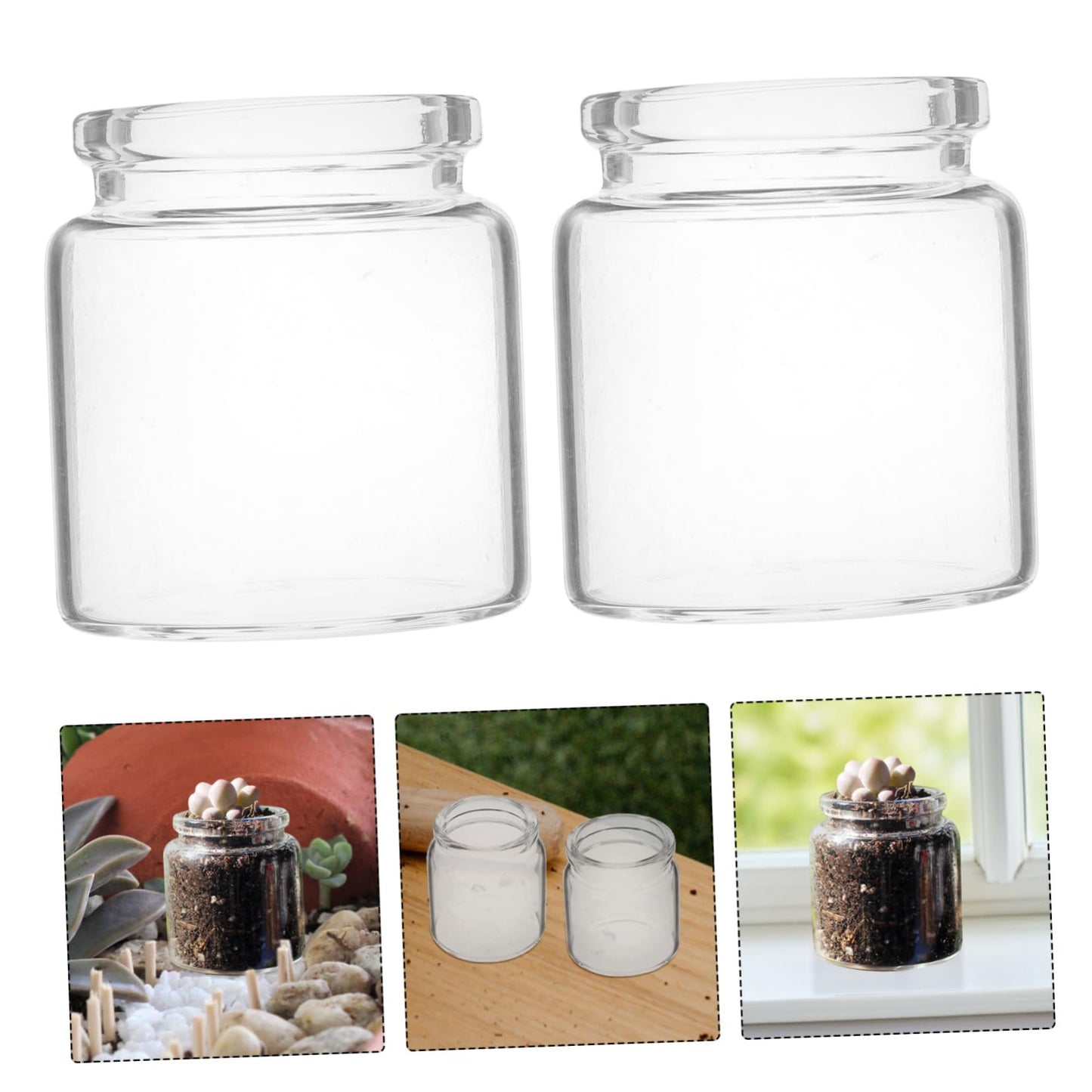 Toyvian 10pcs Mini Glass Bottles for Succulent Plants Micro Landscape Terrarium Vases for Propagation and Greenery Decoration Diameter Height for Succulents and Low Maintenance Displays