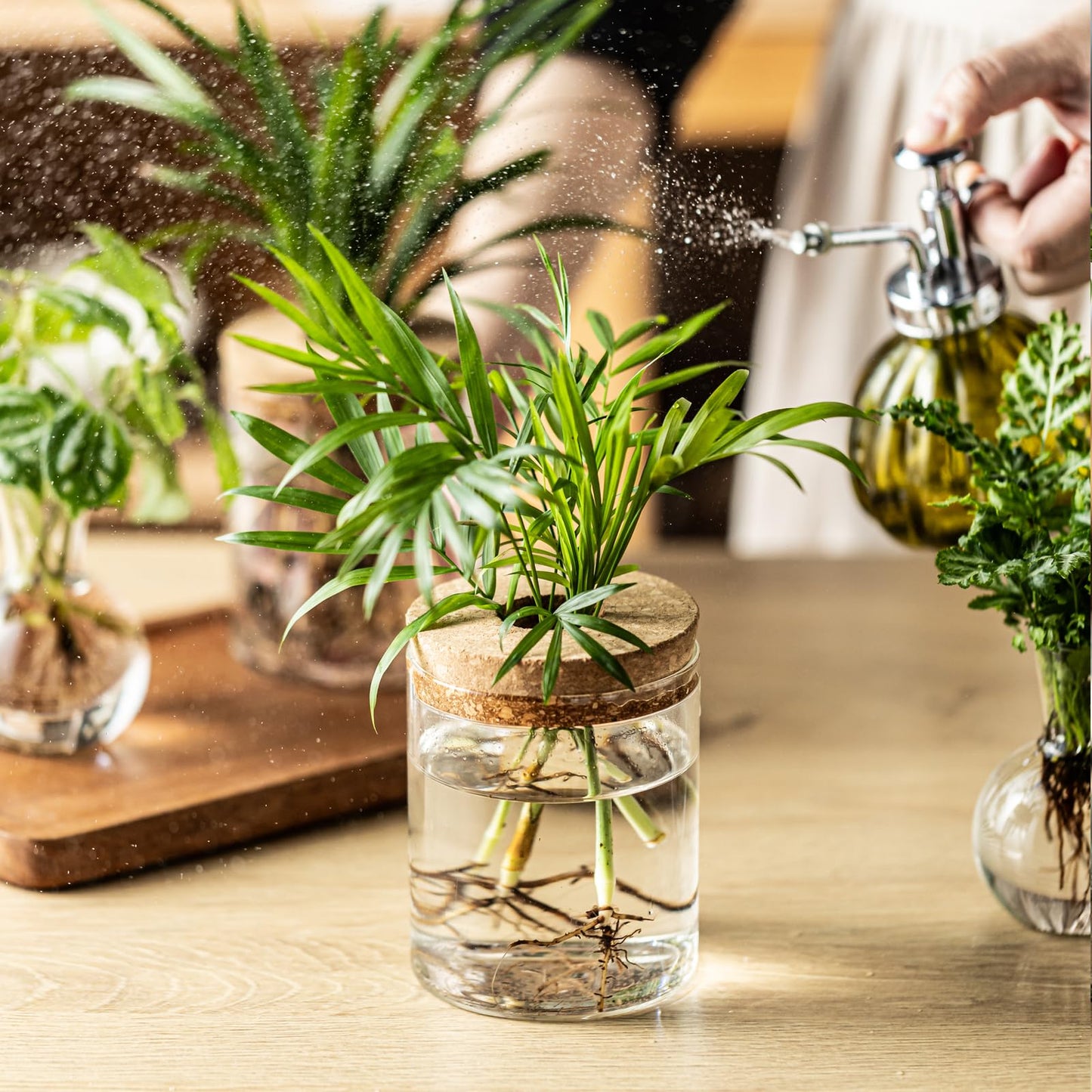 Plant Propagation Stations, 2 Style Glass Planter Terrariums, Propagation Vases for Plant, Plant Propagation Jars for Hydroponic Planter Home Office Tabletop Decoration (8)
