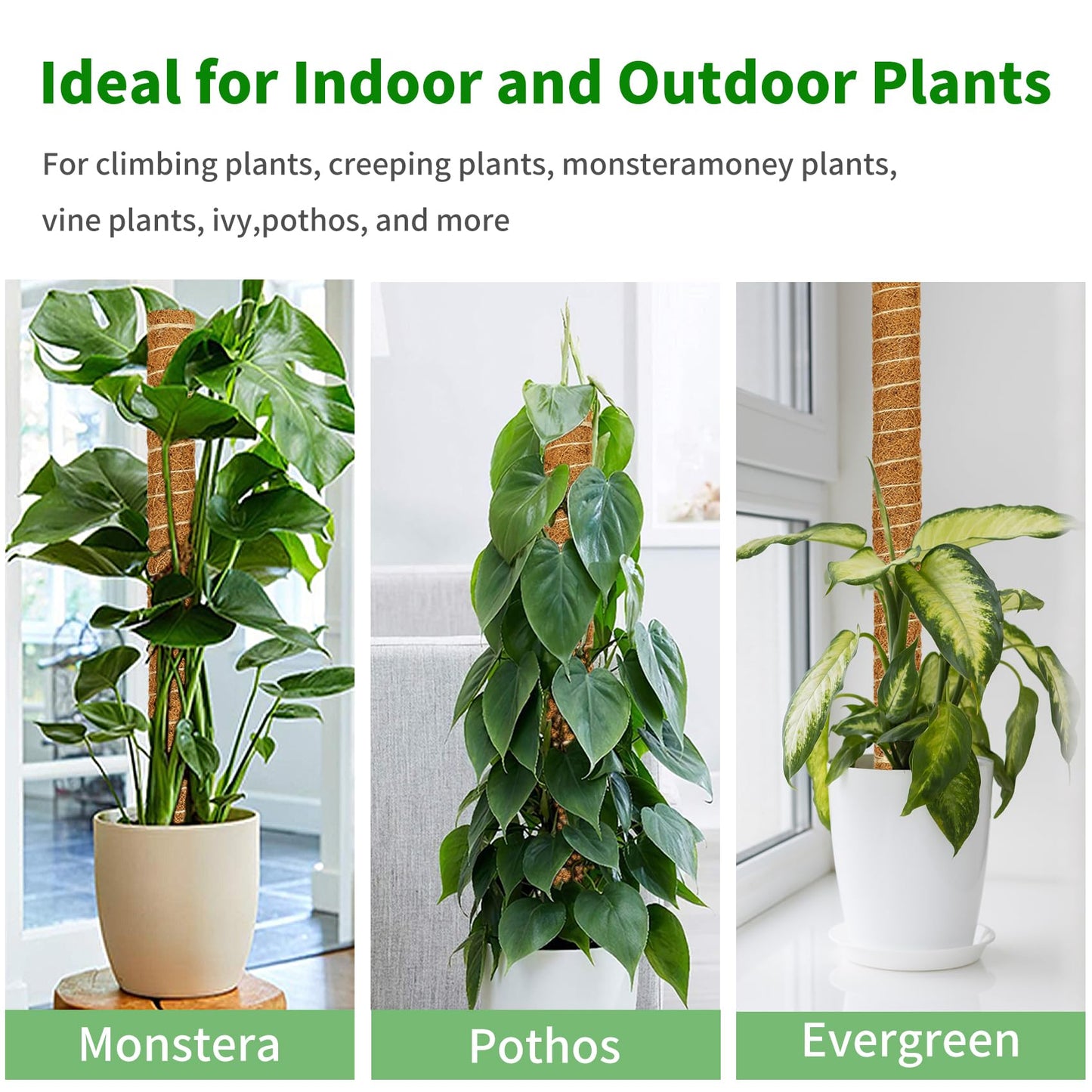 ALENEY Moss Pole, 4 Pack 17inch Monstera Plant Support Stackable Moss Poles for Plants, Coir Totem Pole Tall Moss Pole for Climbing Plants, Sphagnum, Indoor Potted Plants - Can Stacked Up to 56’’