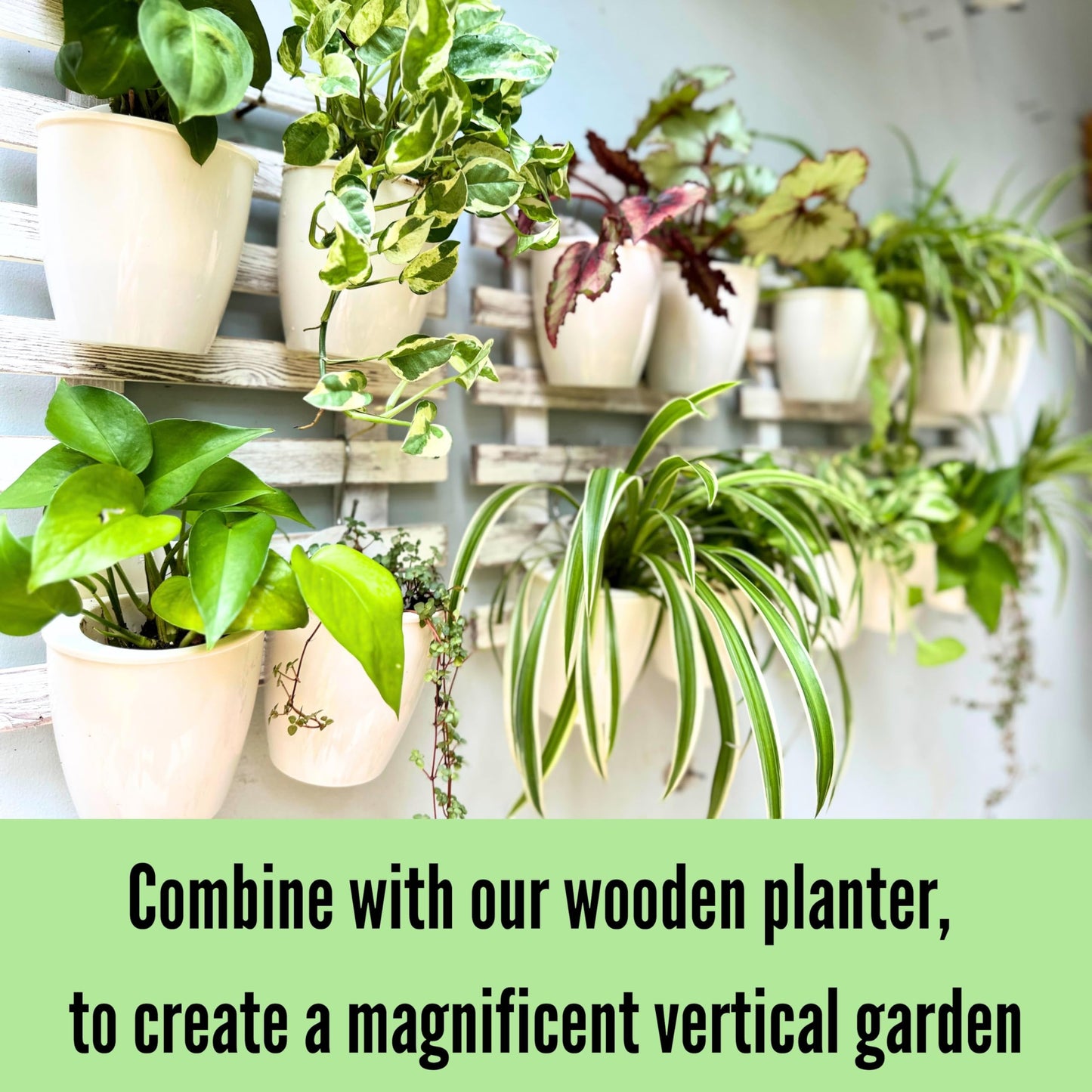 ShopLaLa Bundle- 2 Pack, 35.4 Wooden Plant Holder + 10 Pack, 4 Inch White Self Watering Plastic Pots Large Unique Modern Vertical Wall Mount Hydroponic Garden System Outdoor Planter Dark Brown Decor