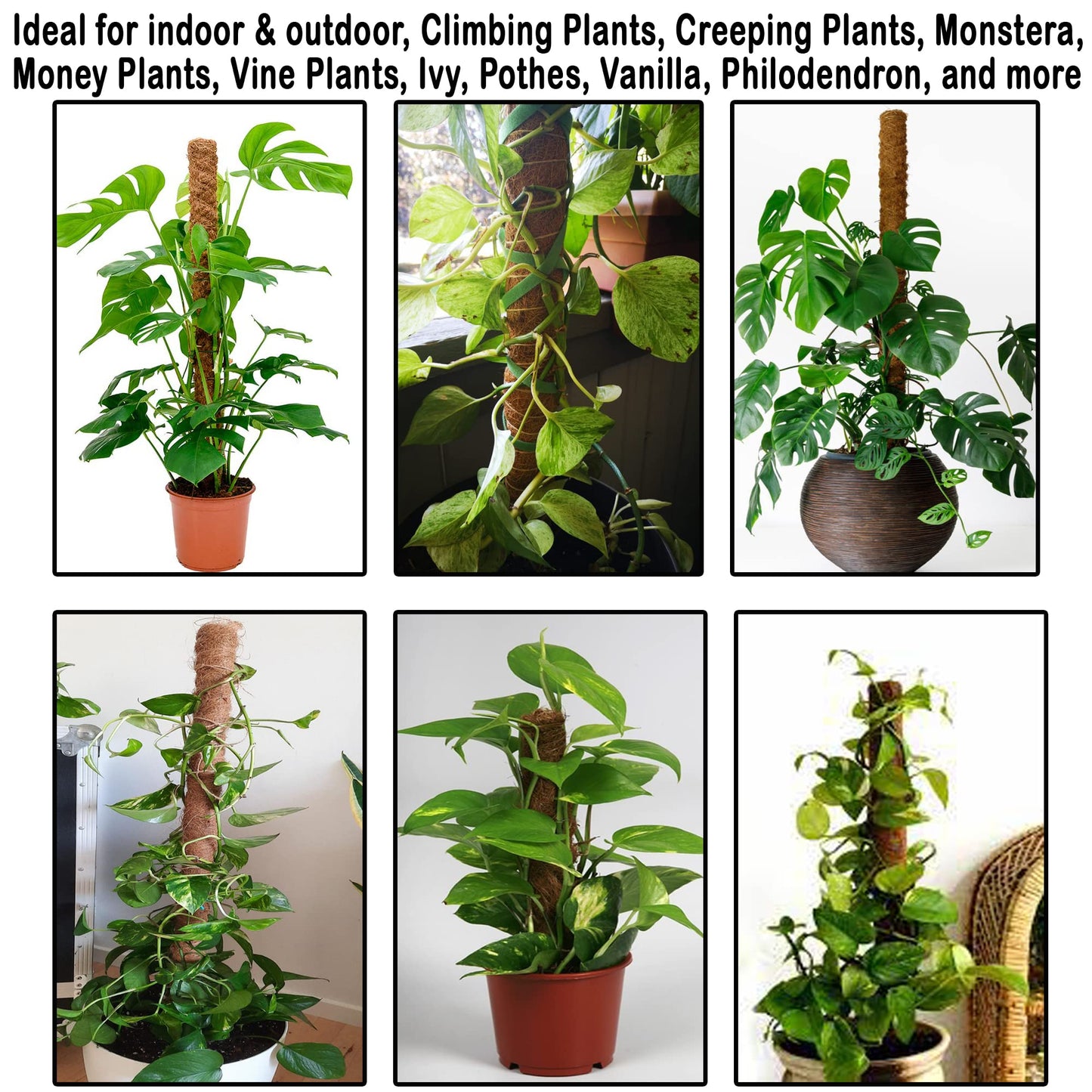 XIRENE 4 Pcs Moss Pole Extending to 51.1 Inches for Plants Monstera, Coco Coir Moss Sticks for Indoor Plants Support Stakes for Climbing Plants Grow Upward with Jute Rope, Tool Set and Hook-Loop Strip