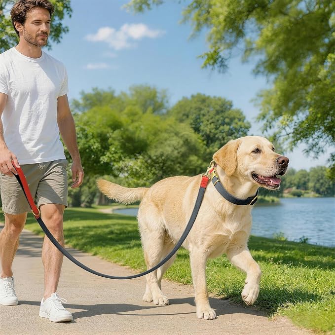 Dog Collar and Leash Set with Metal Quick Release Buckle, Adjustable, Breathable Nylon, Durable, Soft and Comfortable, No Pull for Walking and Training, Blue-Black, L (14.9"-22.8")