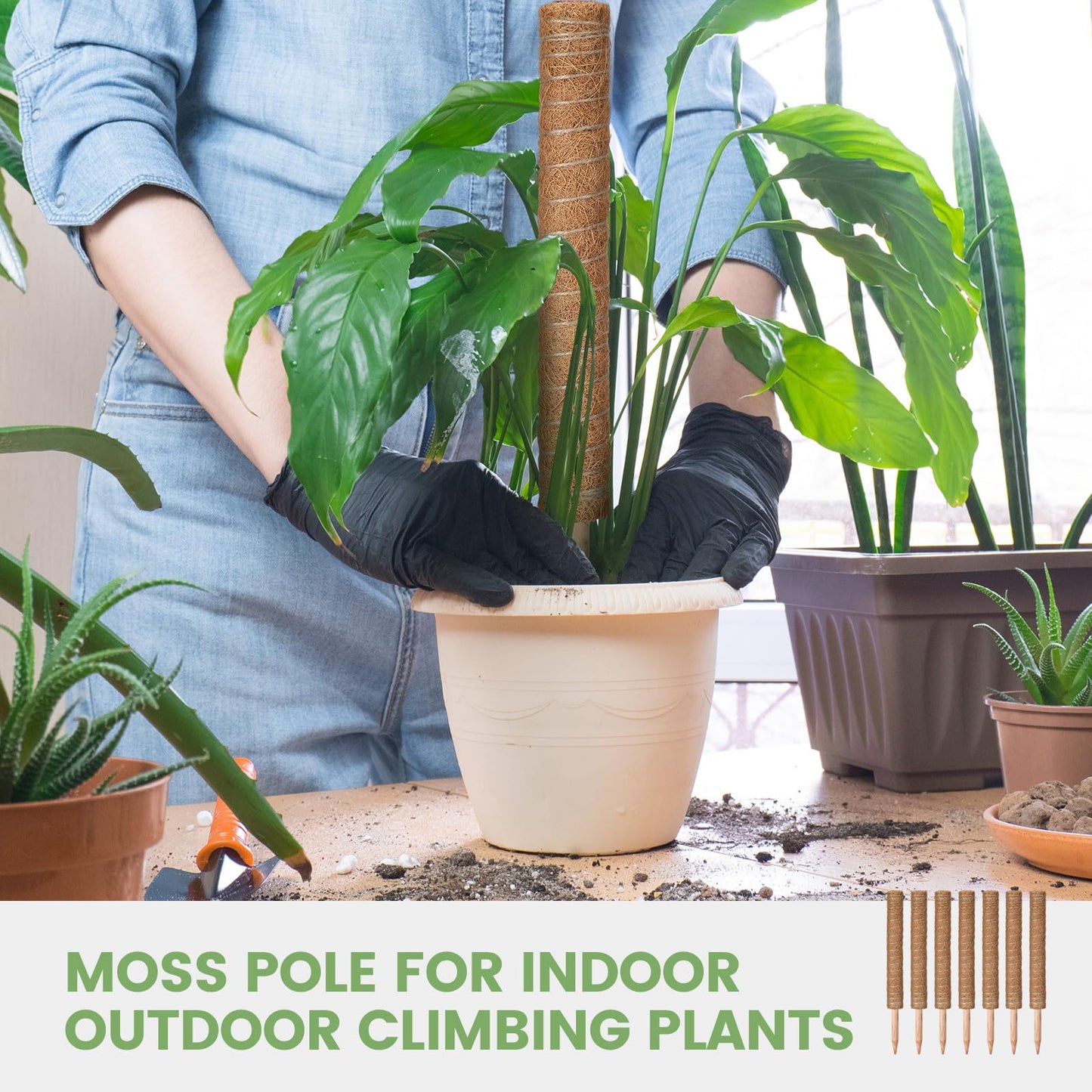 Yinder 50 Pcs Moss Pole for Plants Monstera Plant Support 16.5 Inch Coir Poles Bendable Monstera Plant Support with 10 Pcs 6.56 Feet Jute Rope and 2 Pcs 6.56 ft Garden Tape for Climbing Plants Growth