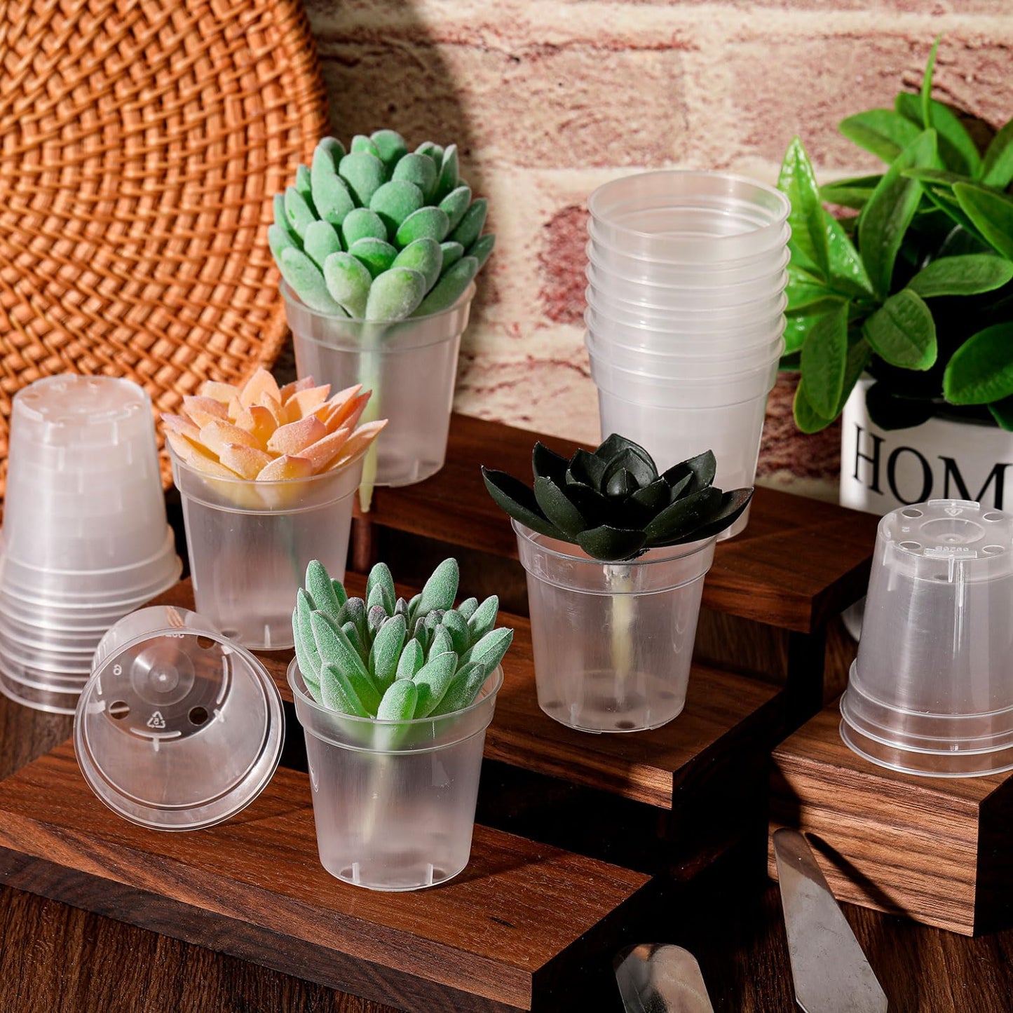 Yaomiao 80 Pcs 3 Inch Clear Mini Plastic Plant Pot Nursery Seedling Pots Seed Starter with Drainage Holes for Indoor Outdoor Garden Succulent Plants Cuttings Transplanting