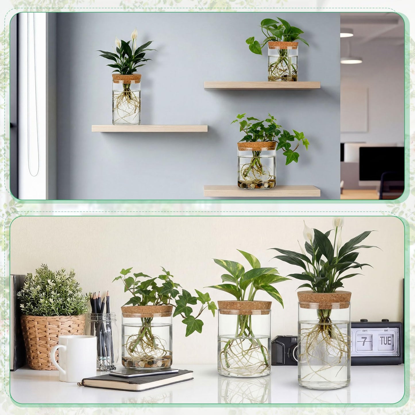 Ferrochef 6 Pcs Glass Plant Propagation Stations (2 Large + 2 Medium + 2 Small) Hydroponic Flower Vases Desktop Plant Terrarium Jar for Cuttings, for Living Room, Bedroom, Home Decoration