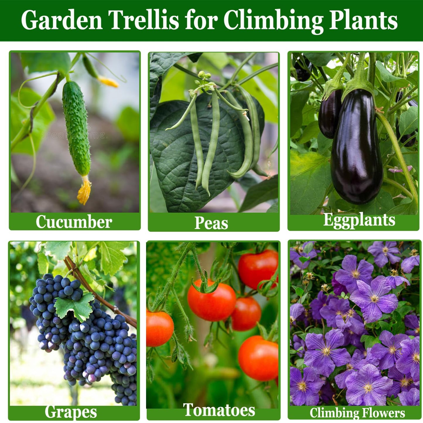 Small Size Garden Cucumber Trellis for Climbing Plants Outdoor, 47x16 inch A Frame Cucumber Trellis for Garden Raised Bed, Plant Support for Vegetable Vine Pea Bean, with Netting