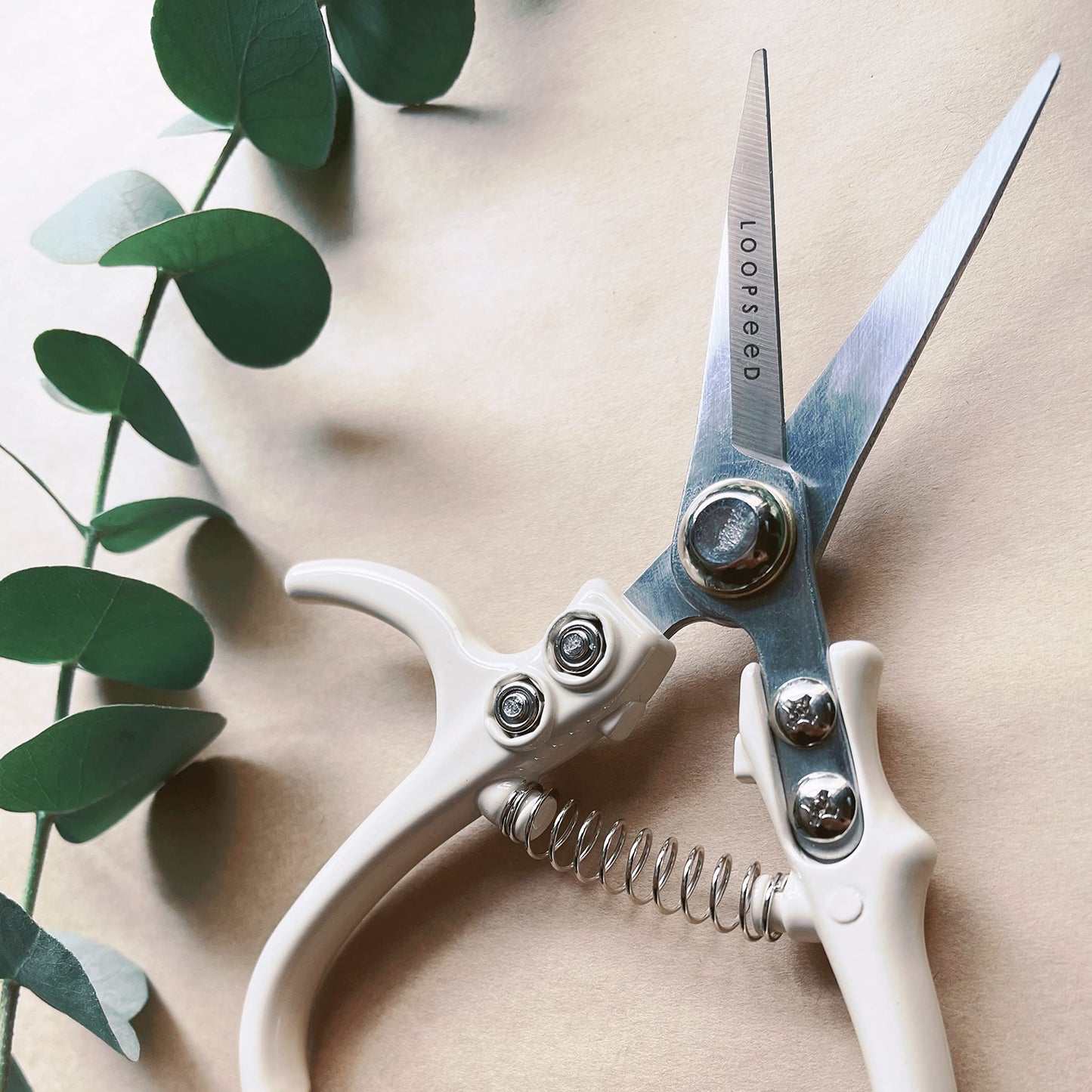 LOOPSEED Plant Pruning Shears with Vegan Leather Sheath Garden Trimming Scissors with Belt Holster Bonsai Trimmers Herb Snips Flower Clippers Modern Tools 2 Piece Bundle (Cream Pruner Beige Sheath)