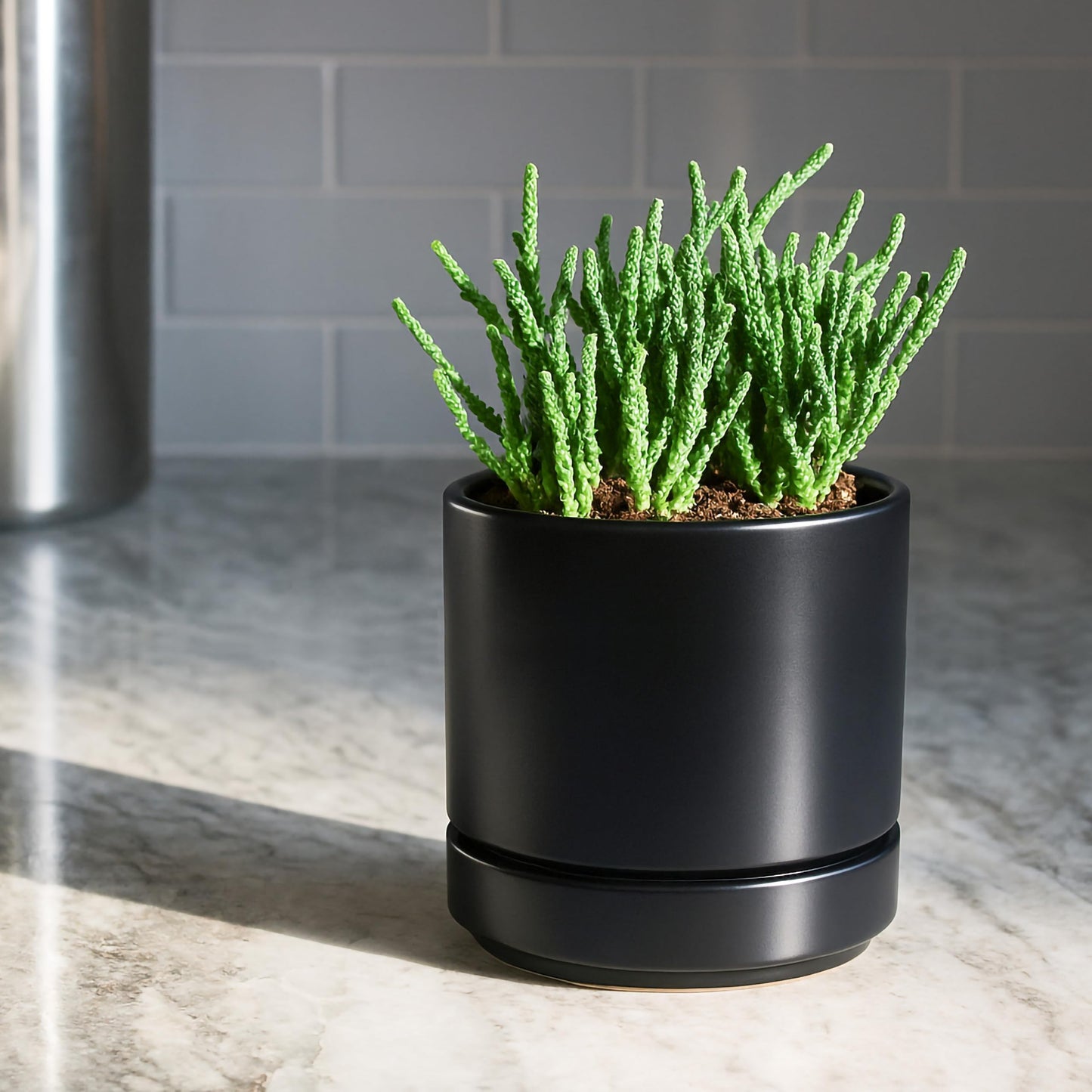 D'vine Dev Set of 2 Plants Pot, 4.7 Inch Ceramic Planter Pot for Plants with Drainage Hole and Saucer, Black, 94-V-B-2