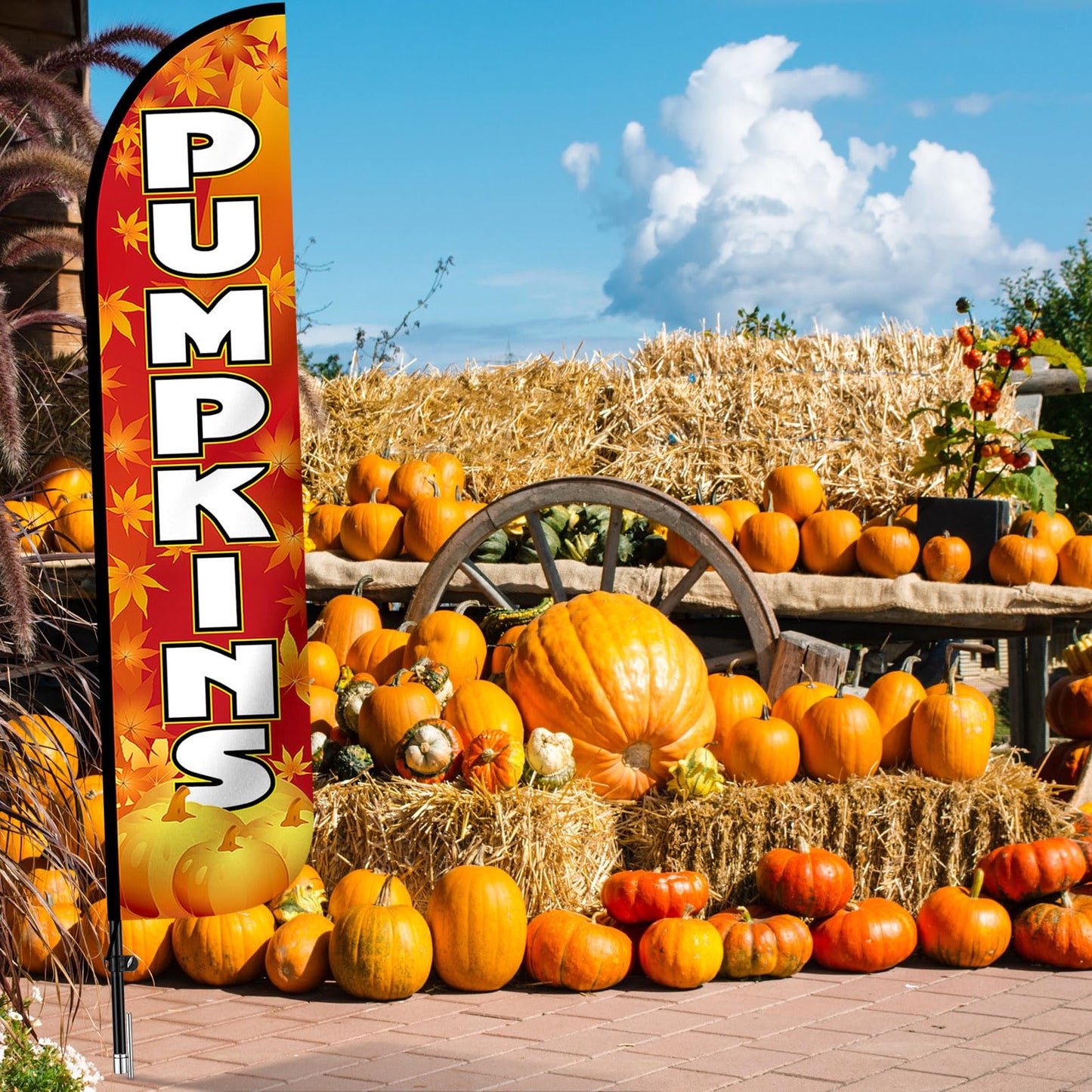 Remagr Thanksgiving Pumpkins Feather Flag Only 2.5ft x 12ft Outdoor Fall Garden Flag for Fall Pumpkins Theme Parties, Halloween Decorations, Festivals, Farms, Events