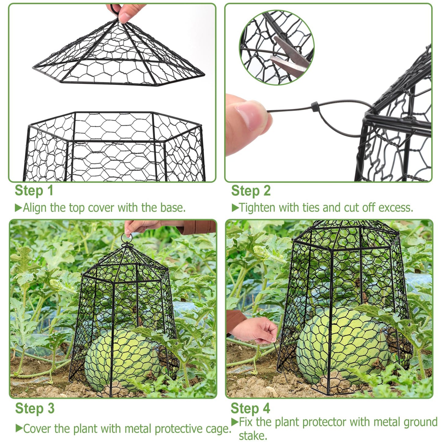 Budiwati 18.5" x 13" Large Plant Protection Cage, 5 Pcs Chicken Wire Cloche, Metal Protectors for Garden Plants, Protecting Fruits and Seedlings from Rabbits, Squirrels and Other Animals